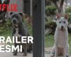 Gambar Film June & Kopi sudah bisa Ditonton di Netflix sejak 28 Januari 2021, Ini Sinopsis dan Trailernya